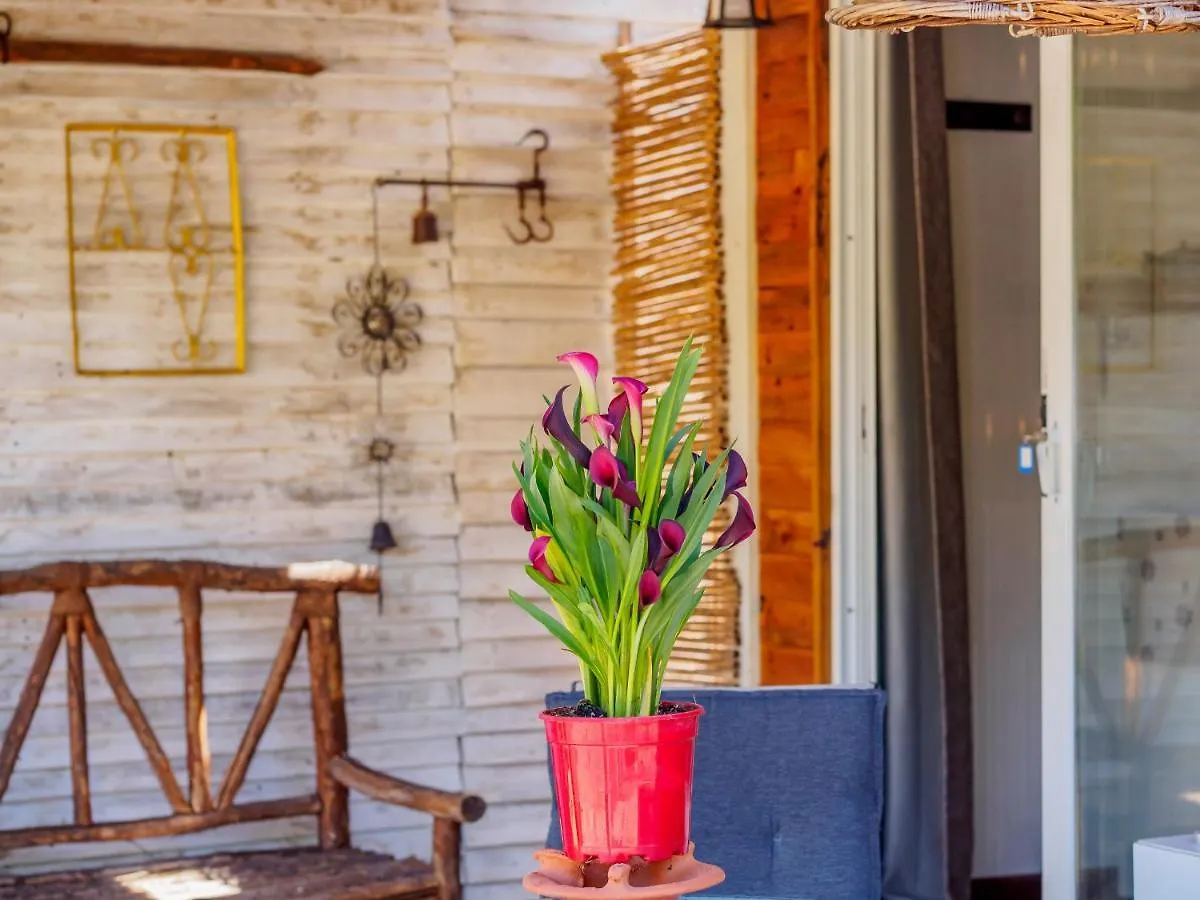 Apartmán Cubo'S Estudio El Encanto De Coín